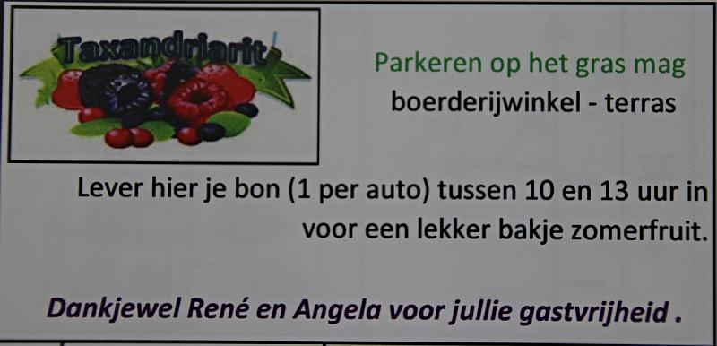 Taxandriarit (5).JPG